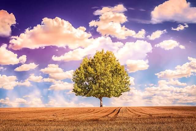 关于各大手机运营商的使用优劣